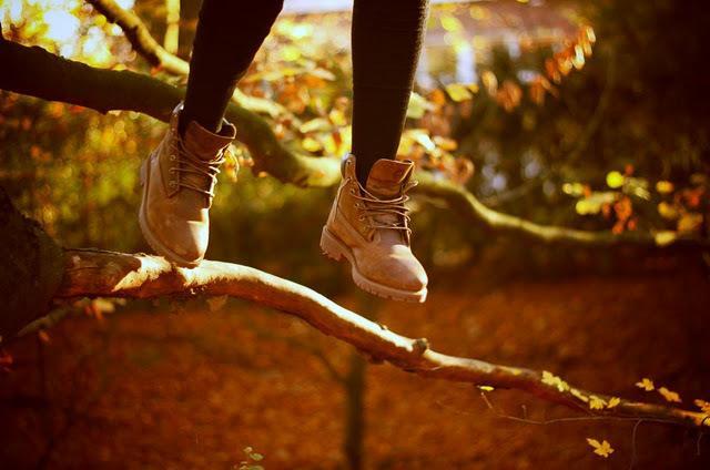 autumn-shoes-trees-wood-Favim.com-341962