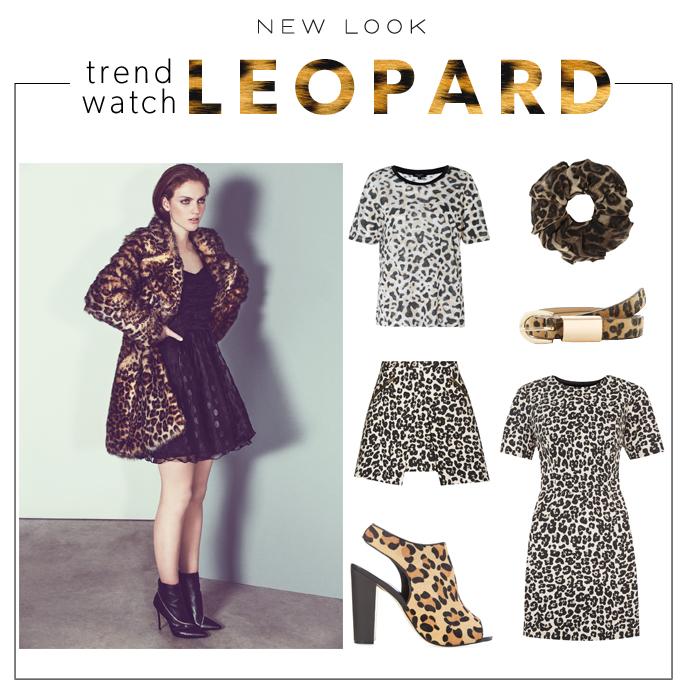 leopard