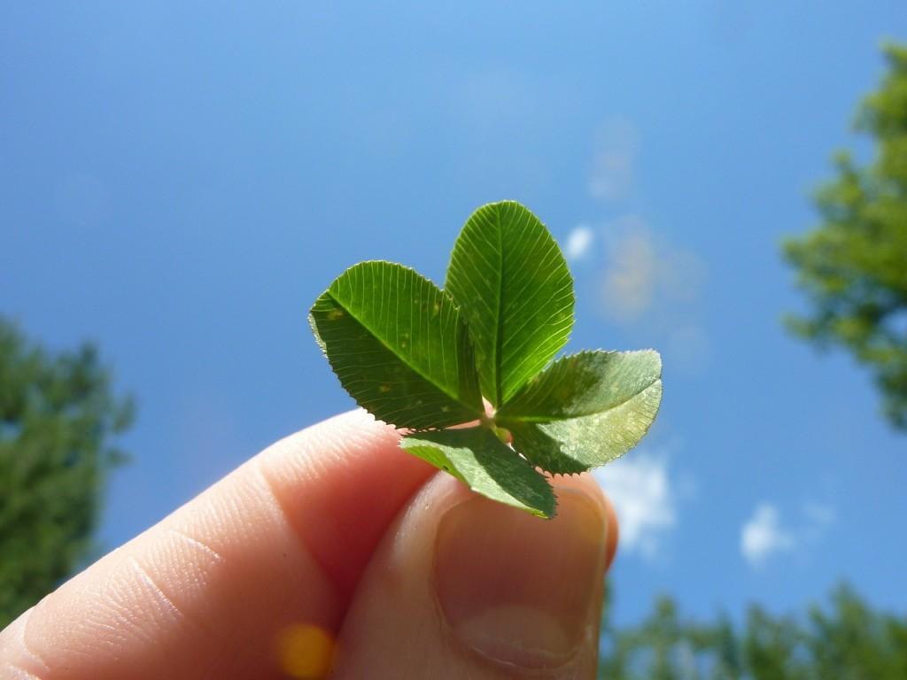 four-leaf-clover-19776_1280