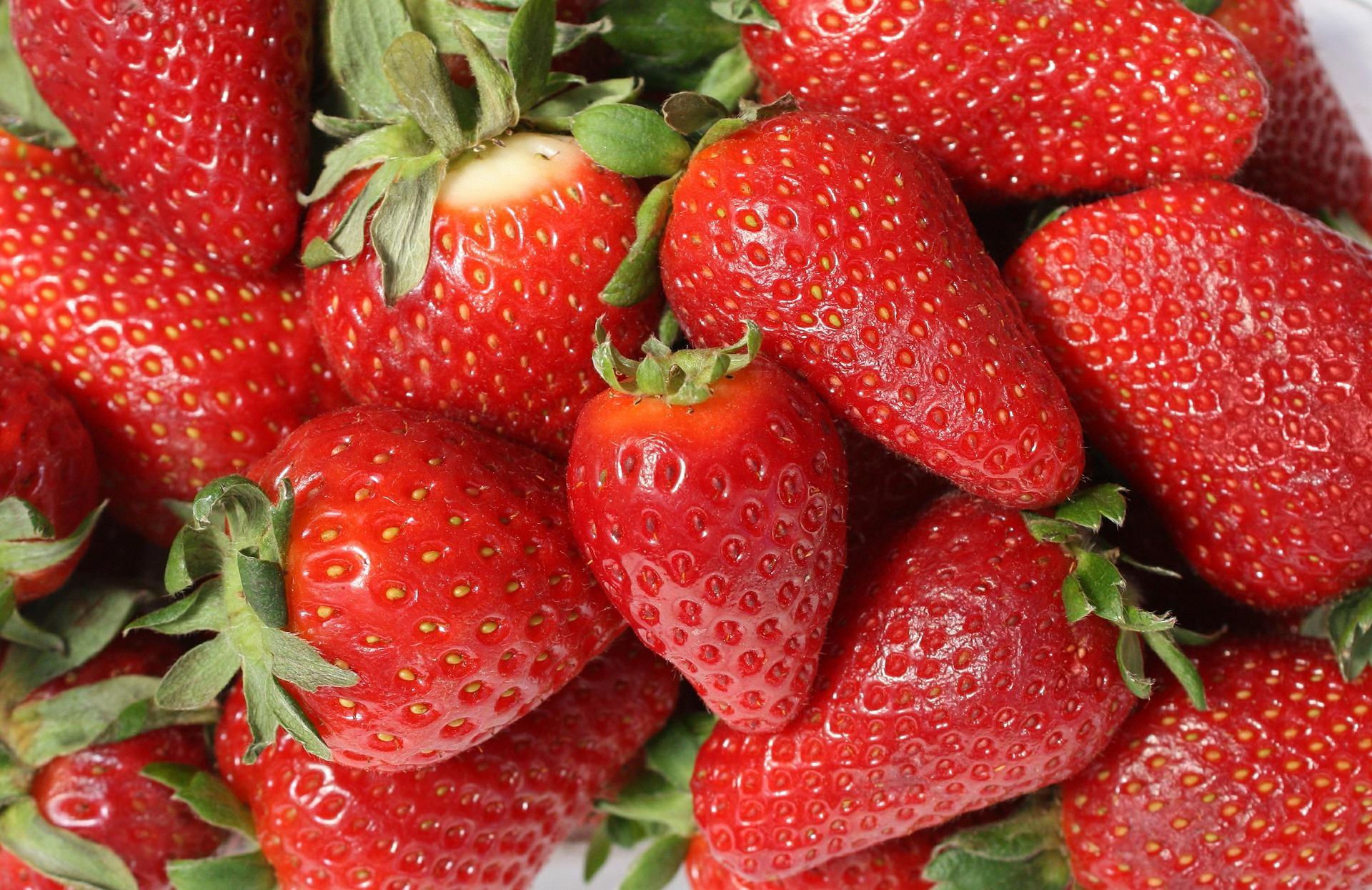 strawberries-473785_1920