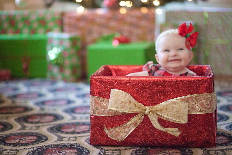 harper_baby_christmas_portrait-38