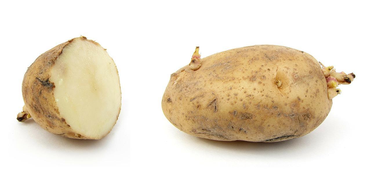 potato-67633_1280