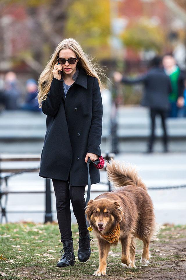 Amanda Seyfried takes her dog Flynn for a walk