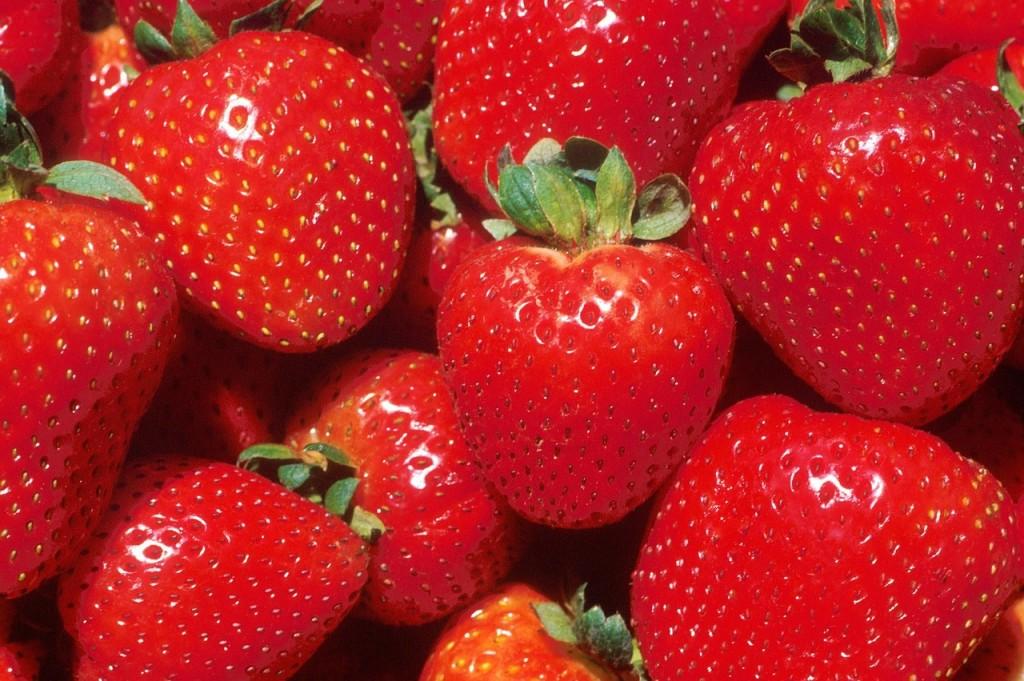 strawberries-387471_1280
