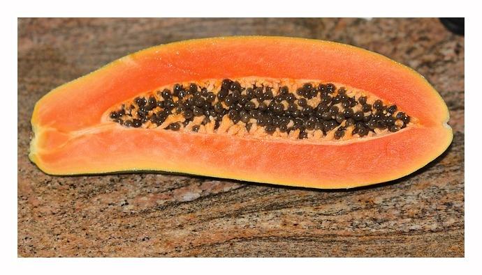 papaya-74585_640