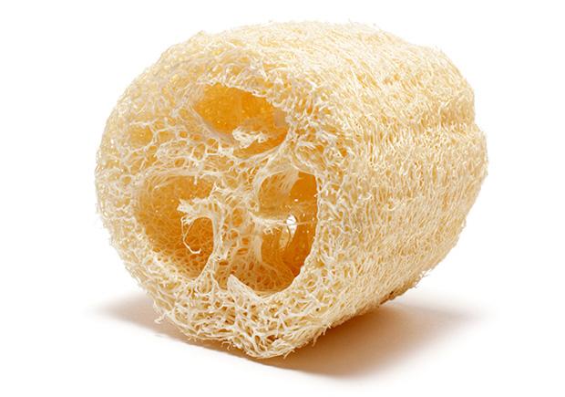 getty-89289940-loofah-lai-leng-yiap