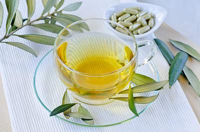 olive-leaf-tea-extract-opt