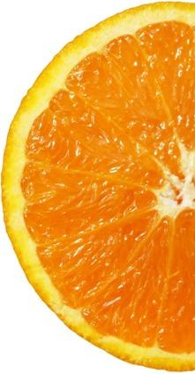 orange-473781_1280