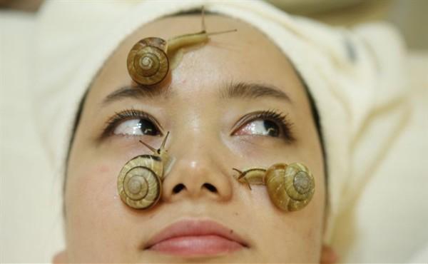 snail-facial