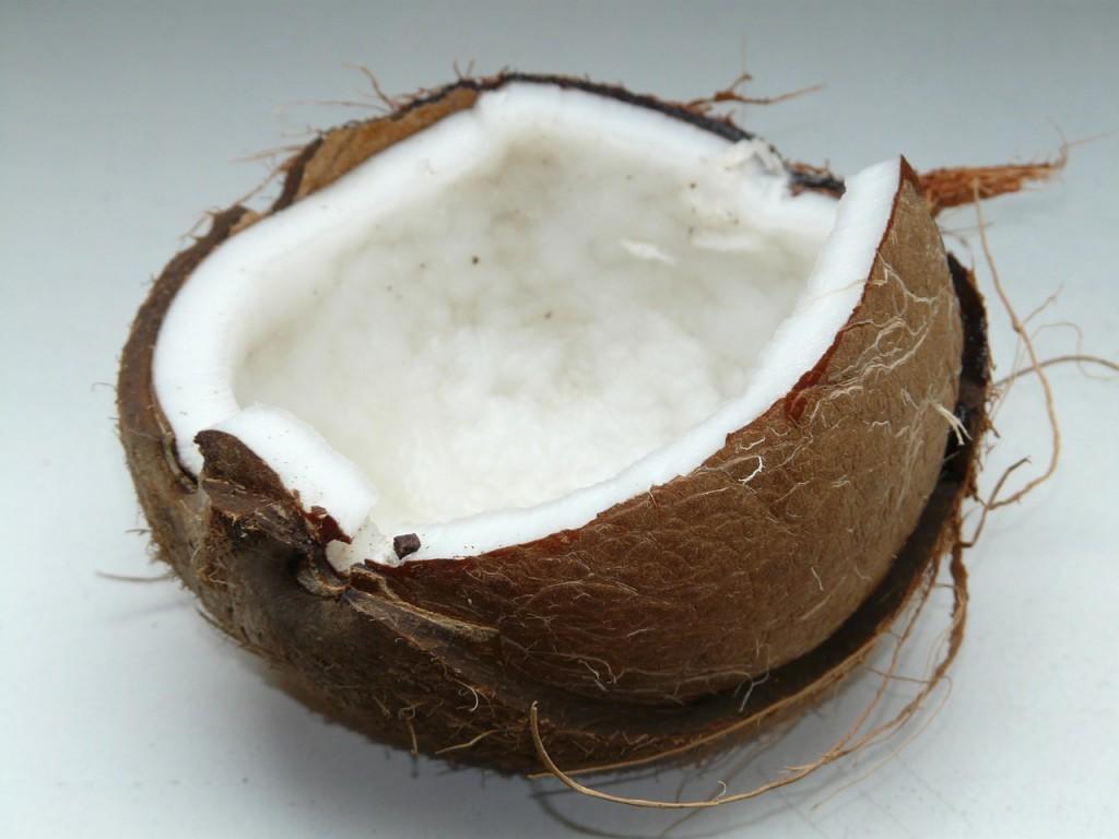 coconut-60395_1280-1024x768