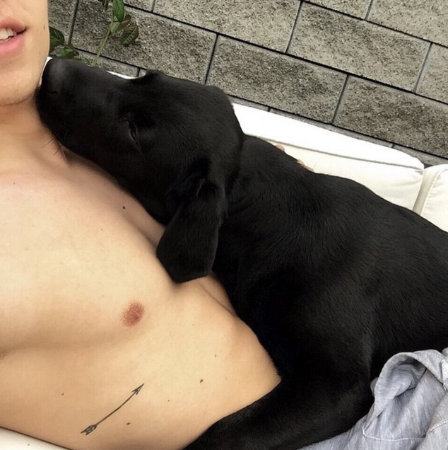 ca0f75ba-736e-4e47-b3ae-46bde0ded372