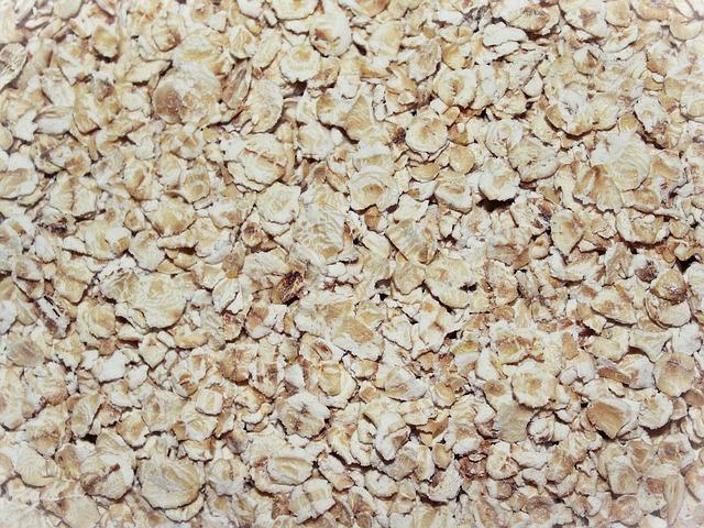 oatmeal-761434_640