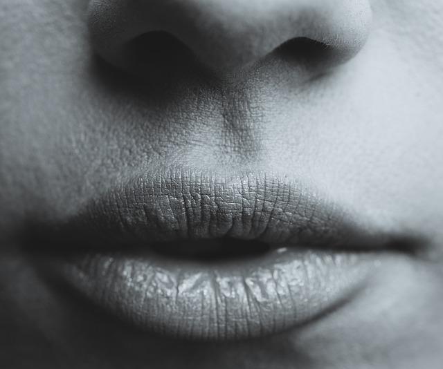 lips-839236_640