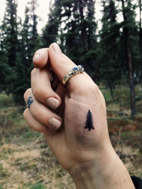 1439476895-1436381724-christmas-tree-liltats