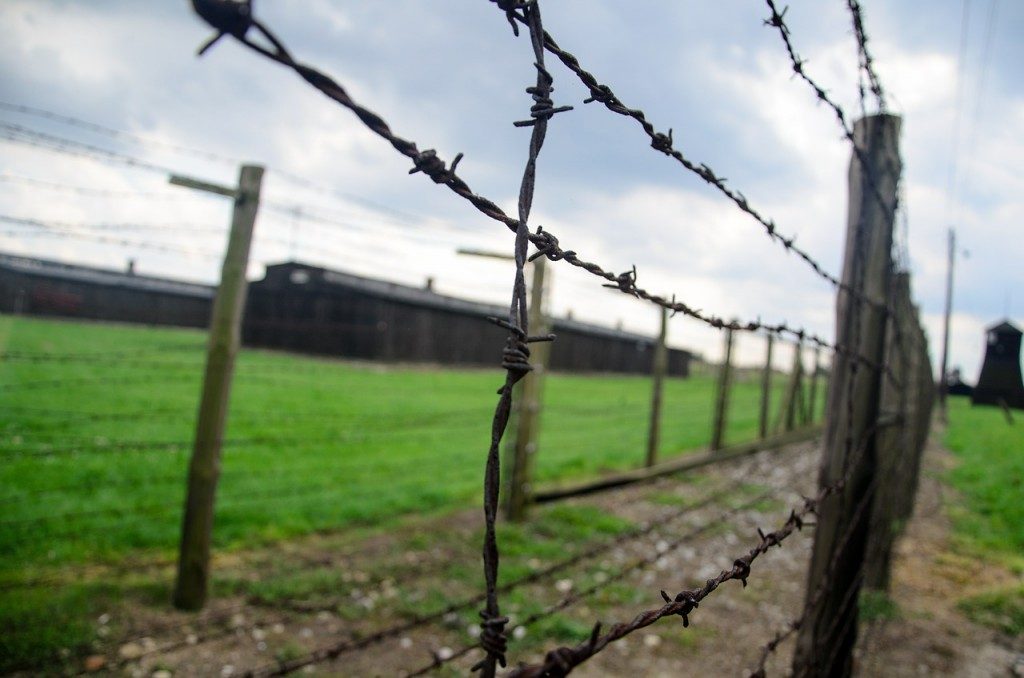 fence-444416_1280