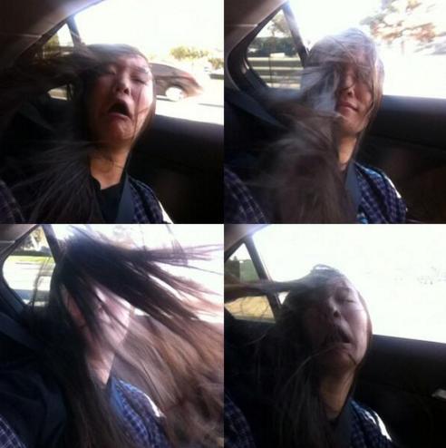 quand-la-fenetre-de-la-voiture-est-ouverte_ca9076