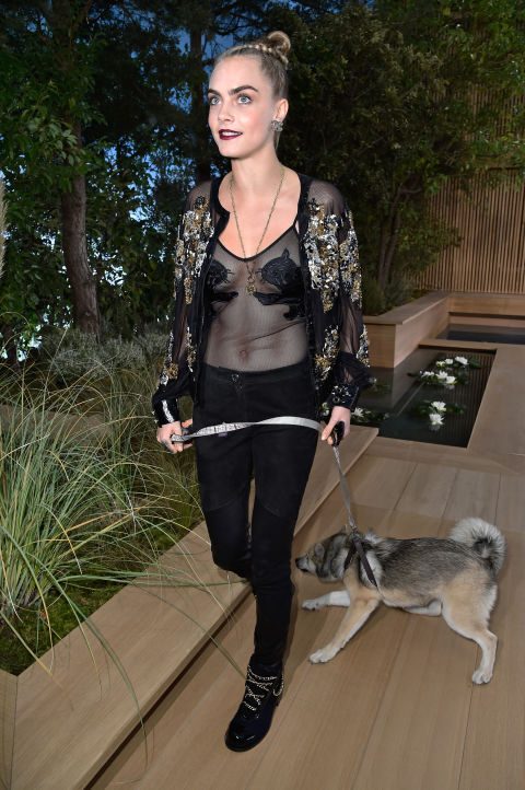 kwdzuqc5578d049d667fa061788721