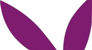 WYPIELĘGNOWANE KRÓLICZKI, czyli damskie balsamy do ciała od marki Playboy