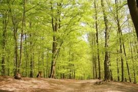 Długi weekend w maju: jak go zaplanować, żeby nie żałować