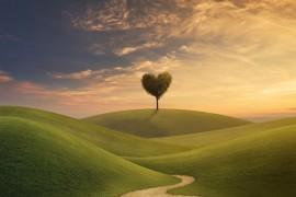 Proste życie to szczęśliwe życie?