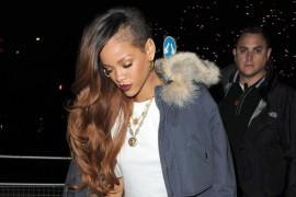 Jesienne nowości w salonie Moliera 2