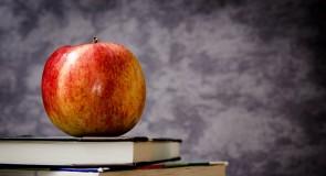 Najpopularniejsze błędy językowe. Sprawdź czy je popełniasz