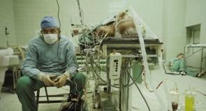 “Bogowie” są wśród nas. Zobacz zwiastun