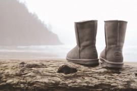 Bo EMU występuje w naturze