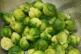 Brukselki – źródło zdrowia ze stolicy Unii Europejskiej