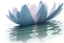 Mindfulness – trening uważności