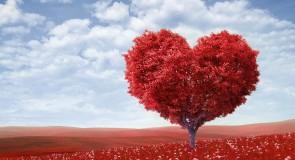 Nie sto, nie dwieście, a tysiąc – badamy serce miasta!