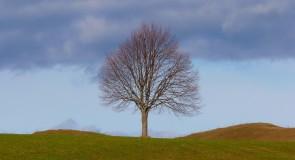 Dzień mentalnej równowagi – 7 aktywności