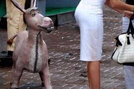 Zdjęcia zrobione w idealnym momencie
