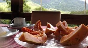 Zbawienny wpływ PAPAI na nasze zdrowie