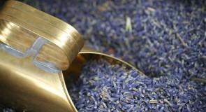 10 sposobów na pozbycie się blizn