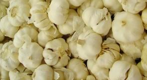 TOP 7 naturalnych antybiotyków