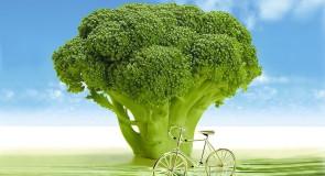 14 produktów, które naturalnie usuwają TOKSYNY