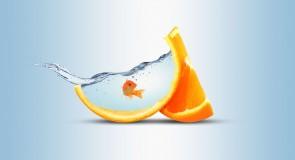 TOP 10 owoców z największą zawartością wody