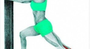 Te ilustracje pokazują, które mięśnie rozciągamy w czasie ćwiczeń