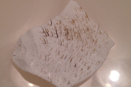 15 ochydnych rzeczy, które w sekrecie ROBIĄ KOBIETY