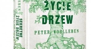 4 najlepsze KSIĄŻKOWE NOWOŚCI września