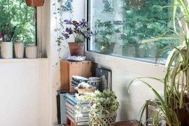 Aranżacje do mieszkania z roślinami w roli głównej