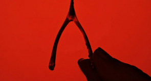 8 MEGA ciekawostek o ŁECHTACZCE