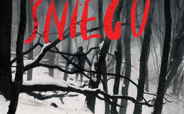 Nowości w świecie literatury – 4 mocne propozycje