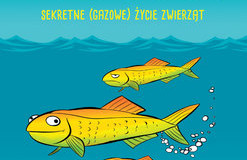 Literatura faktu – 5 propozycji od NaObcasach.pl