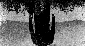 Nowości książkowe – 5 najważniejszych tytułów