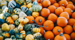 5 właściwości oleju z PESTEK DYNI