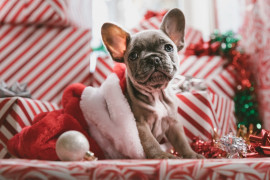 Lista piosenek, które nastroją cię świątecznie!