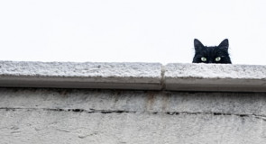 8 najdziwniejszych przesądów, w które ludzie nadal wierzą