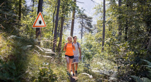 Borelioza — charakterystyka, przyczyny, objawy, skutki